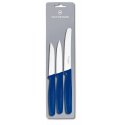 Кухонный набор Victorinox Swiss Classic Paring 5.1112.3